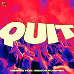 Cover: gammer - Quit