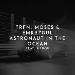 Cover: Moses - Astronaut In The Ocean