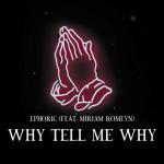 Cover: Anita Meyer - Why Tell Me Why - Why Tell Me Why