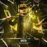 Cover: Vasto - Destruction