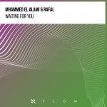 Cover: Mhammed El Alami & Rafäl - Waiting For You