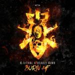 Cover: Guns - Burn MF