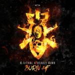 Cover: N-Vitral & Deadly Guns - Burn MF