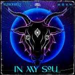 Cover: Audiofreq - In My Soul