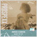 Cover: Araysen & Chavetas - Secret Of Life