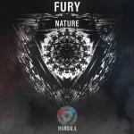 Cover: Fury - Nature