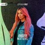 Cover: Raiden - Next Level