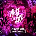Cover: Snipes &amp; Murf ft. Darryl Gracie - What Is Love