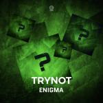 Cover: The matrix - Enigma