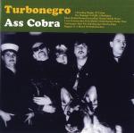 Cover: Turbonegro - I Got Erection