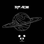 Cover: PVNDA - Space