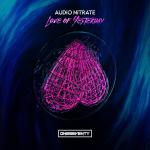 Cover: Audio Nitrate - Love Of Yesterday