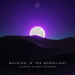 Cover: Sighter - Walking In The Moonlight