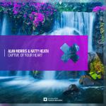 Cover: Alan Morris - Captive Of Your Heart