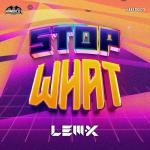 Cover: Lem-X - Stop What