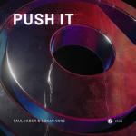 Cover: FAULHABER & Lukas Vane - Push It