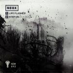 Cover: NeoX - Life Flashes
