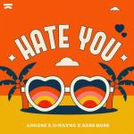 Cover: Angemi & D-wayne & Kess Ross - Hate You