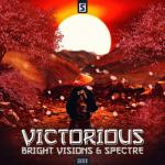 Cover: Visions - Victorious