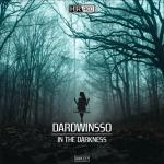Cover: DardWinsso - In The Darkness