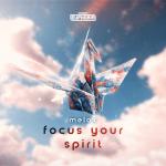 Cover: MeLoX - Focus Your Spirit