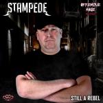 Cover: Stampede - MNSTR