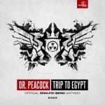 Cover: Dr. Peacock - Trip To Egypt (Official Ground Zero 2022 Anthem)