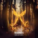 Cover: Ressurectz - Born In Flames