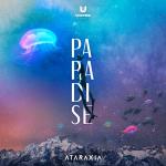 Cover: Wax LTD Presents Blondfire Vocal Pack - Paradise