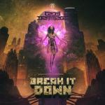 Cover: Lady Dammage - Break It Down