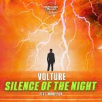 Cover: MaryLyza - Silence Of The Night