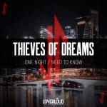 Cover: Thieves of Dreams - One Night