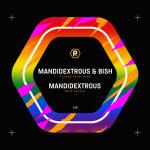 Cover: Mandidextrous & Bish - Techno On My Mind