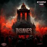 Cover: DJV &amp; Insane S - Fourth Dimension