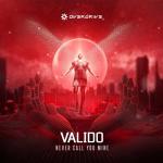 Cover: Valido - Never Call You Mine