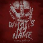 Cover: Illegal Brother - What's My Name
