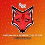 Cover: Tweekacore & Darren Styles ft. Giin - Crash & Burn