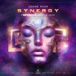 Cover: Sound Rush - Synergy