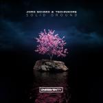 Cover: Jorg Schmid & Technikore - Solid Ground