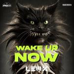 Cover: Lem-X - Wake Up Now