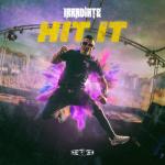 Cover: Irradiate - Hit It