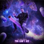 Cover: Dark - You Can't See
