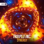 Cover: TRIIIPL3 INC. - Synergy