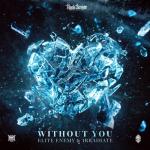 Cover: Elite Enemy & Irradiate - Without You