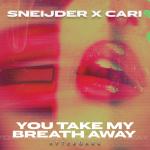 Cover: Sneijder & Cari - You Take My Breath Away
