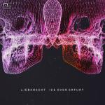 Cover: Liebknecht - ICE Over Erfurt (Dan Physics & Lenny Dee Remix)
