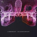 Cover: Liebknecht - ICE Over Erfurt (Dan Physics & Lenny Dee Remix)