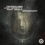 Cover: Lost Identity - Gänsehaut