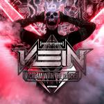 Cover: VEIN - Scream My Name