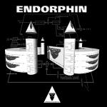 Cover: Endorphin - The Great Strife